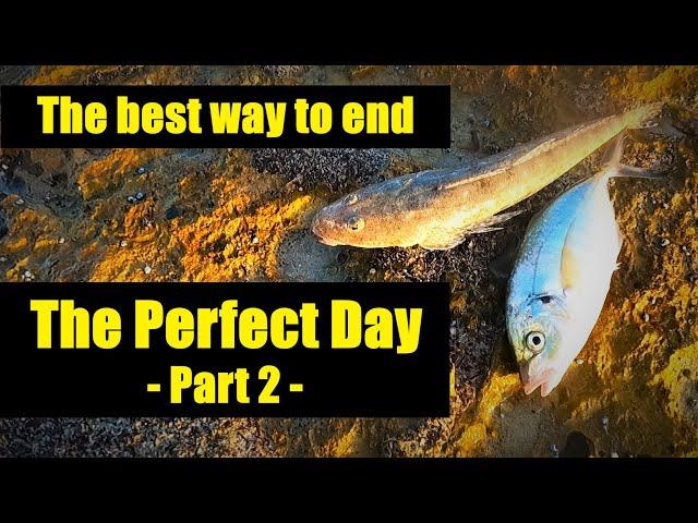 FLATHEAD & TREVALLY FISHING - How to with soft plastic lures - South Australia