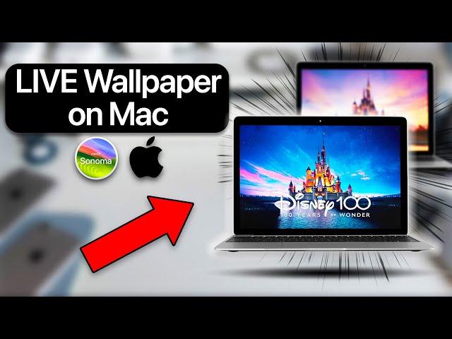 How to set Live Wallpaper on Mac in 2024