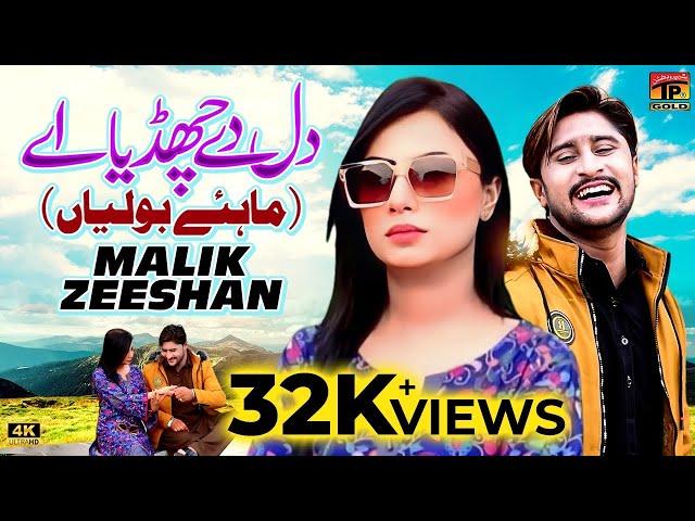 Dil De Chadya Ay (Mahiye & Boliyan) | Malik Zeeshan (Official Video) | Thar Production