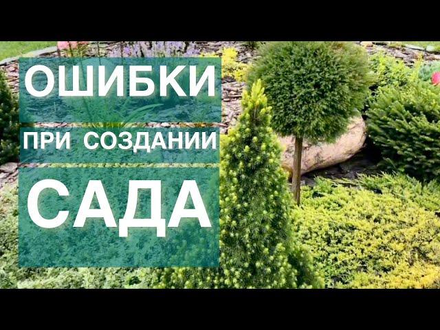 МОИ ОШИБКИ В ЛАНДШАФТНОМ ДИЗАЙНЕ САДА. ЧТО УЖЕ НЕ ИСПРАВИШЬ?