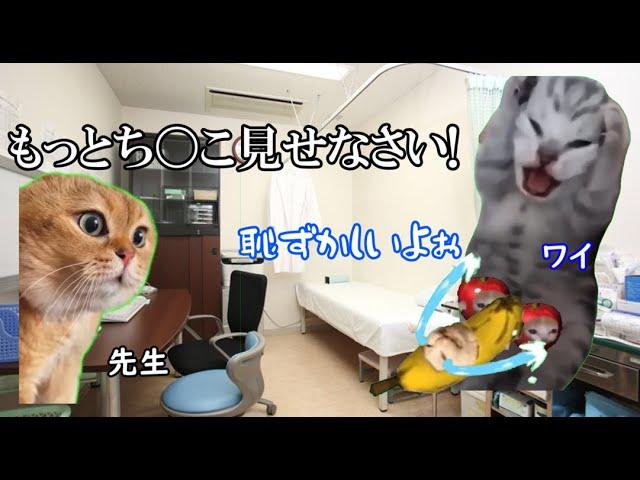 性病？になった時の話【猫ミーム】#猫マニ