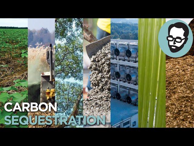 7 Ways To Pull Carbon From The Atmosphere | Random Thursday