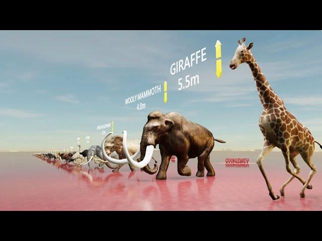 How Animals Measure Up: A Height Comparison of 41 Fascinating Creatures