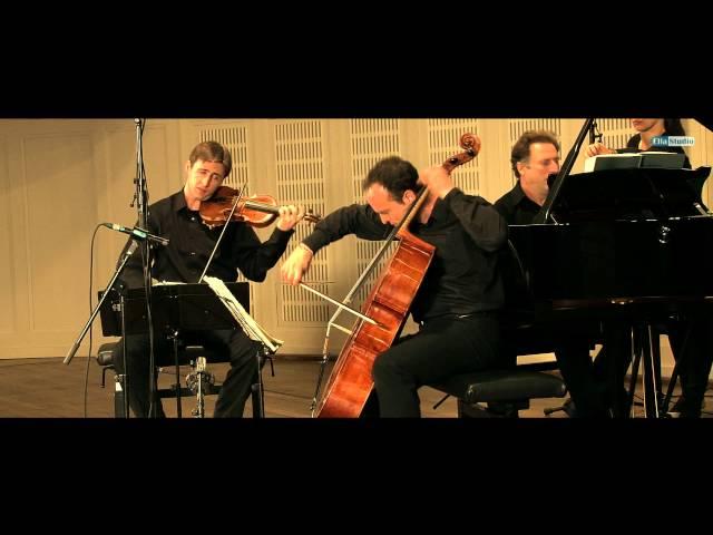 Brahms, Piano Trio No. 1, in B-Major, Op. 8 (rev. vers. 1889) 1st movement - VIENNA PIANO TRIO