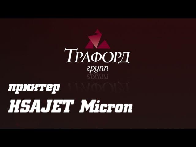 Принтер HSAJET Micron