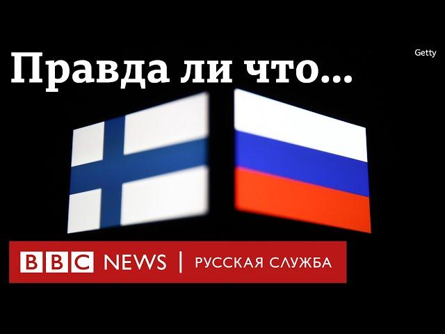 Правда ли финны - русофобы? Так говорят на российском ТВ... #Shorts