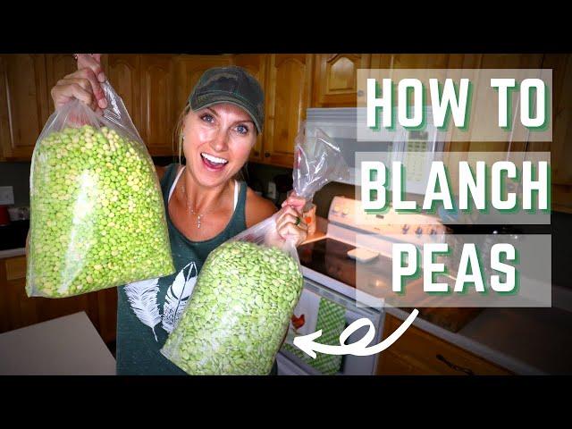 How To Blanch Peas | Blanch Peas for Freezing