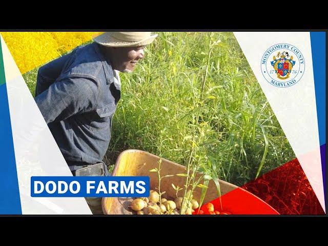 Dodo Farms