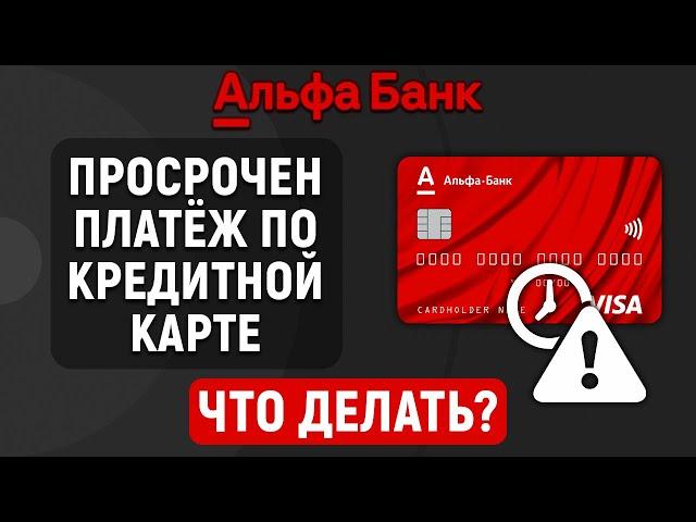 Просрочен платеж по кредитной карте Альфа-Банка. Что делать?