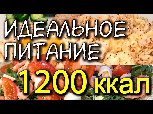 ПРИМЕР ПИТАНИЯ на 1200 ккал в день / Что есть / МОТИВАЦИЯ НА ПОХУДЕНИЕ система питания / разбор КБЖУ