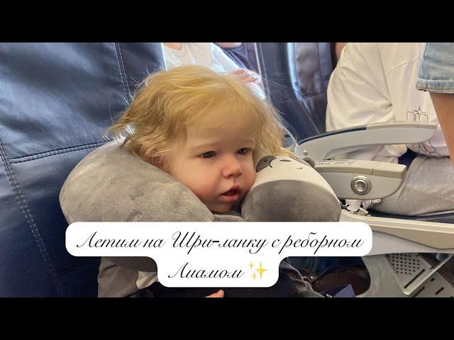 Летим на Шри-Ланку с реборном Лиамом ️ Flying to Sri Lanka with reborn Liam️#реборн #vlog