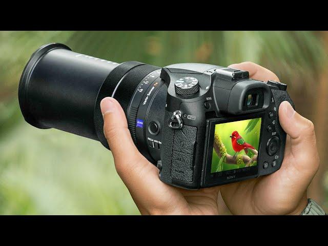 Best Zoom Cameras 2025 - Top Superzoom Cameras 2025