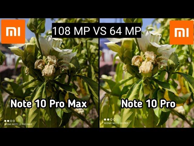 Redmi Note 10 Pro Max Vs Note 10 Pro Camera Comparison | Note 10 pro vs Pro Max camera | Tech4Camera