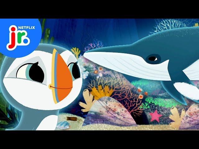 Oona and Silky’s Baby Whale Rescue Mission  Puffin Rock | Netflix Jr