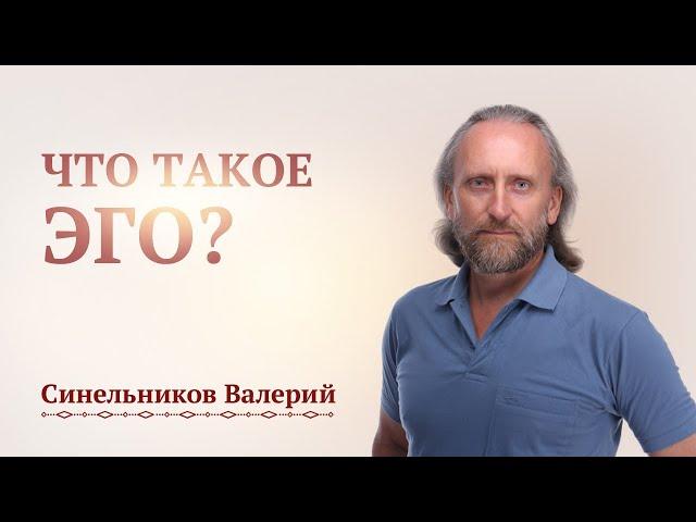 Что такое Эго человека? Валерий Синельников