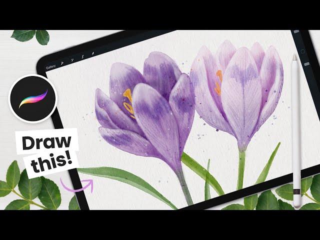 How To Draw: Watercolor Crocus (Flower) • Procreate Tutorial