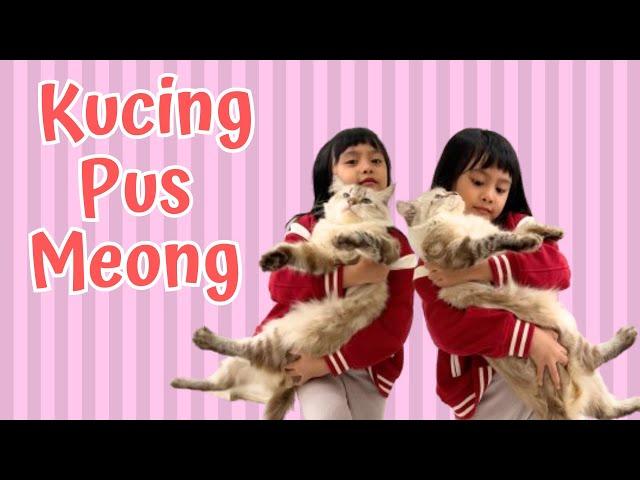 KUCING PUS MEONG - Lagu Anak Terbaik