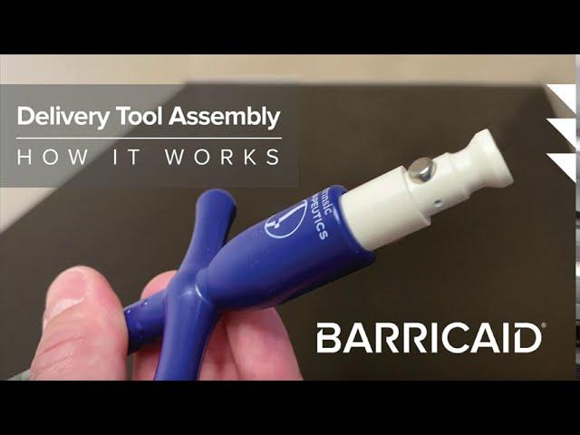 Delivery Tool Assembly - How it Works