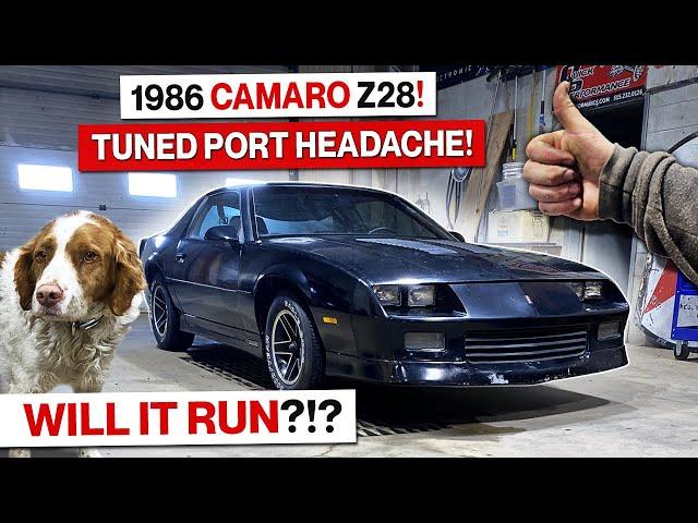 Another Bargain or Bust Facebook Camaro?!? Low Mileage 1986 Z28 Tuned Port Injection! Will It Run?!?