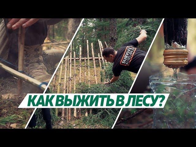 Как выжить в лесу: базовые навыки