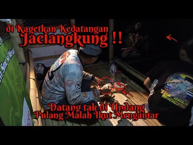 LAGI ASYIK MANCING !! TIBA" DATANG SOSOK PEMANCING YANG MIRIP JAELANGKUNG TERNYATA PEMANCING INI ...