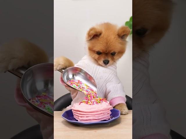 do you like the cake made by coco?#chefcoco #lifehack #foryou #cute #valentinesday #dogsoftiktok