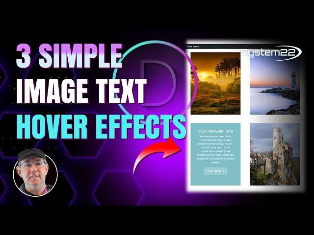 Divi Theme Image Text Hover Effects You Never Knew About 