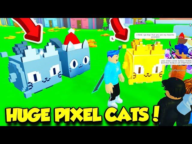 I Got The HUGE PIXEL CAT In Pet Simulator X! (Roblox)