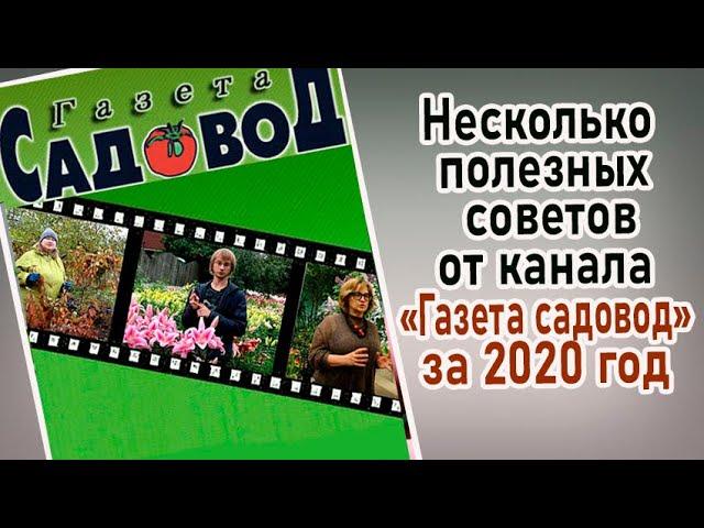 НЕСКОЛЬКО ПОЛЕЗНЫХ СОВЕТОВ ОТ КАНАЛА "ГАЗЕТА САДОВОД" за 2020 год.