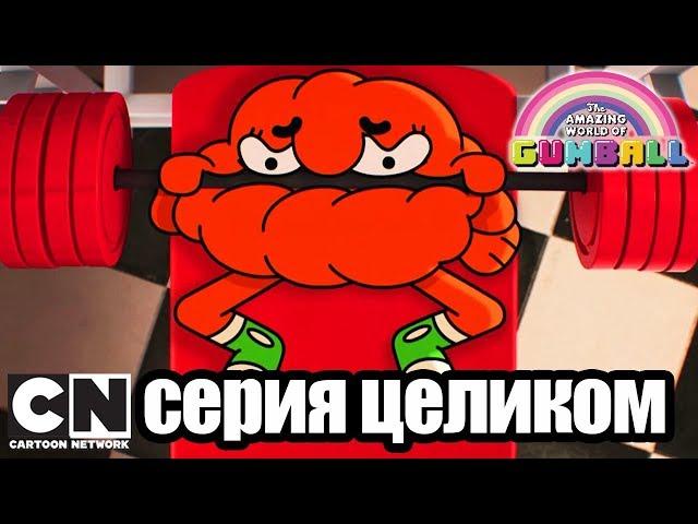 Гамбола | Сигнал + Подруга (серия целиком) | Cartoon Network