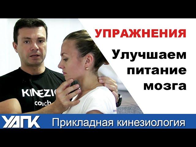 УПРАЖНЕНИЯ. Улучшаем питание мозга . 2 простые техники