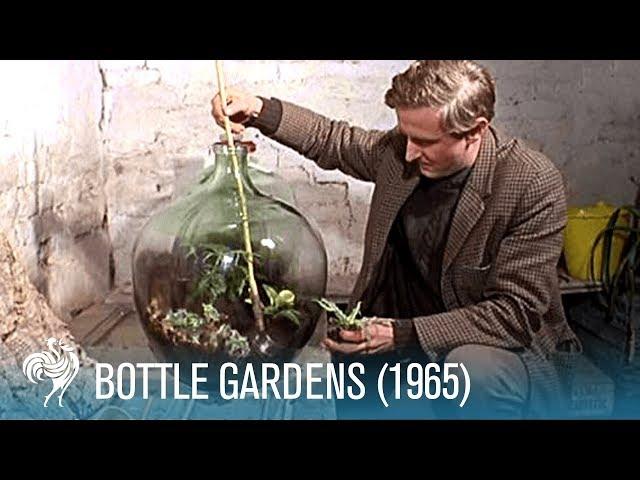 Bottle Gardens (1965) | British Pathé