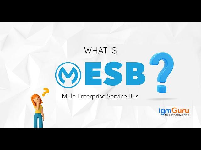 What is Mule Enterprise Service Bus | Mule ESB Tutorial | Mulesoft Training [Updated 2024] - igmGuru