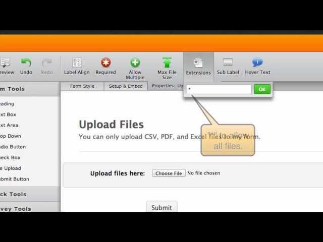 Upload Field - Allowing File Types