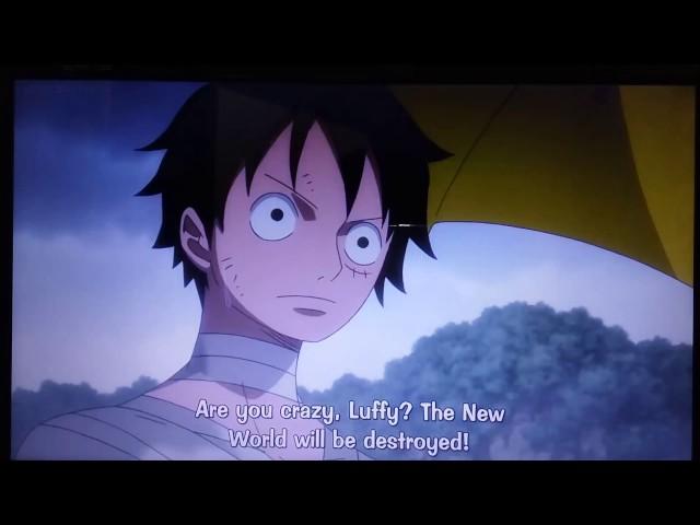 One piece - brook offered his life to captain luffy.