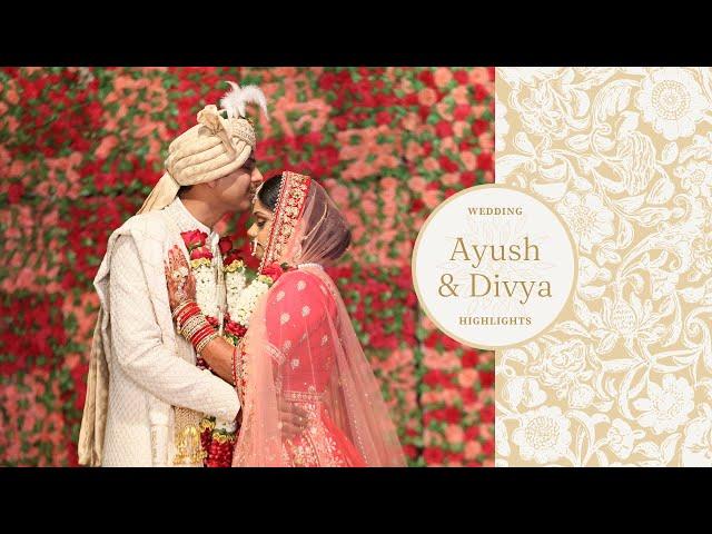 Ayush & Divya Wedding Highlights by Shootingwale | Indian Wedding Highlights 2023