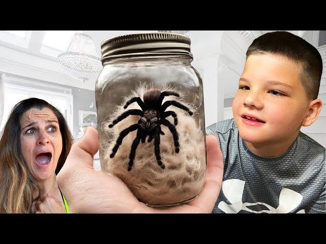 TARANTULA in the HOUSE! BUG CATCHING with Caleb! Playing with SPIDERS, SNAKES and GIANT TARANTULAS!