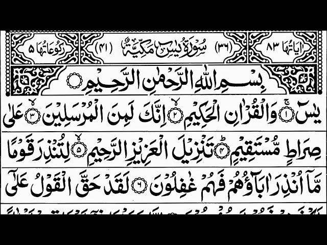 Live Surah Yaseen | Yasin | quran tilawat | Beautiful Recitation Surah Yasin Surah Rahman Full