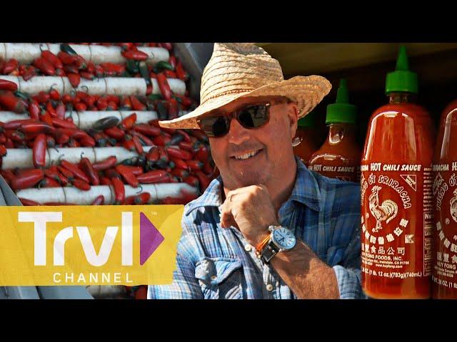 Secret Behind World-Famous Sriracha Sauce | Bizarre Foods with Andrew Zimmern | Travel Channel