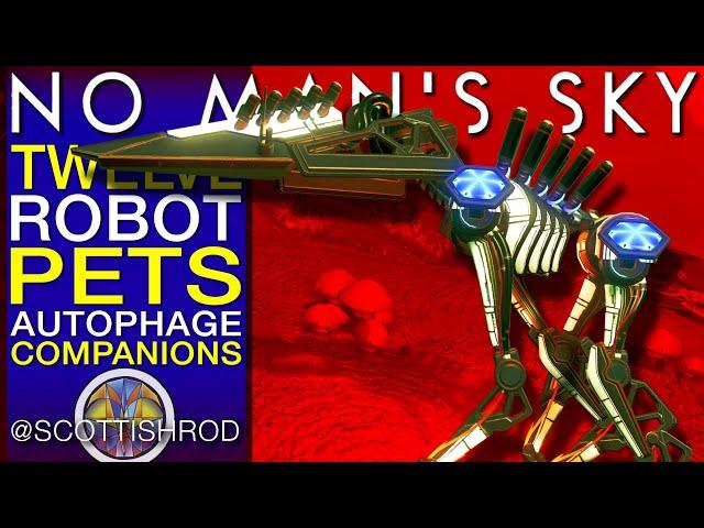 12 Robot Pets - Perfect Autophage Companions - Best Pets - No Man's Sky Update - NMS Scottish Rod