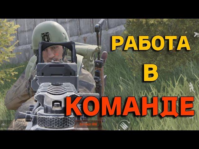 [ARENA BREAKOUT] ВСЕ О РАБОТЕ В КОМАНДЕ | АРЕНА БРЕЙКАУТ