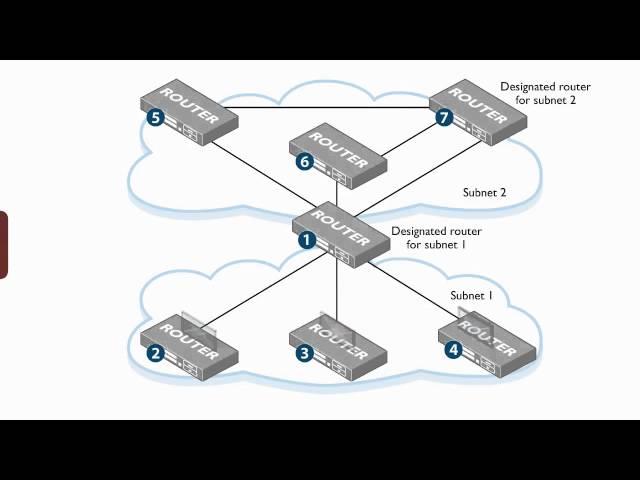 An OSPF router that is Designated Router on one subnet, but not on another.