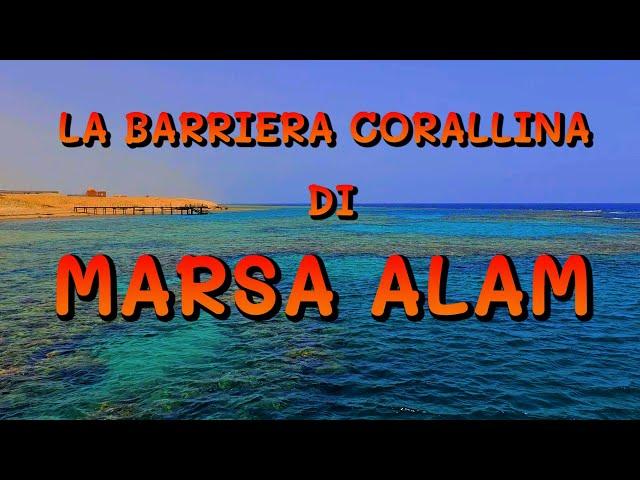 La barriera corallina di Marsa Alam