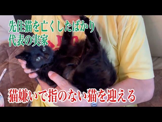 代表の実家に猫嫌いの猫を連れて行きました（犬は大丈夫らしい）