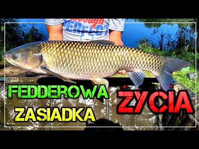 Feederowa Zasiadka Życia! Amur, Wielkie Karpie i Leszcze  Method Feeder PZW