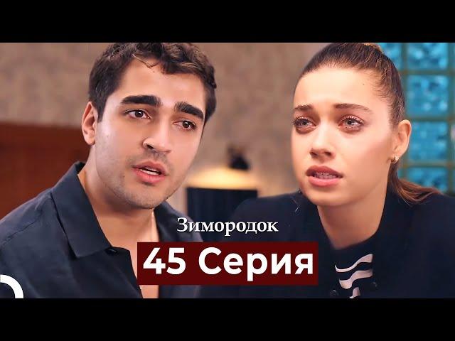 Зимородок 45 Cерия (Русский дубляж)