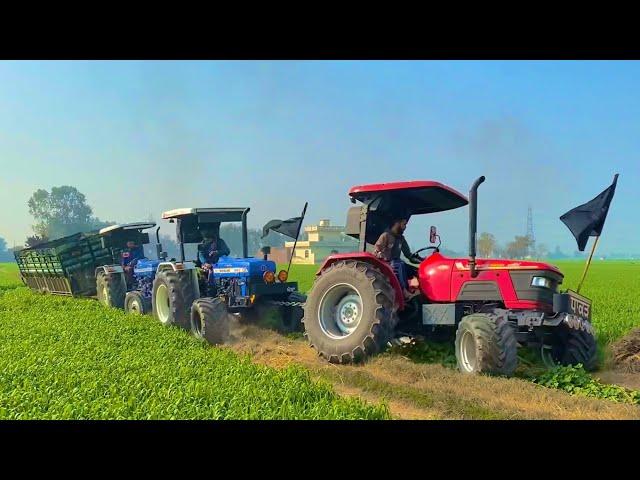 FARMTRAC 60 | NEW HOLLAND 3630 | ARJUN 555 POWER PLUS VS 16FT TROLLEY