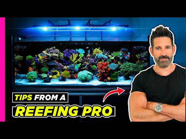 Keeping a Reef Tank From a Pro | 140 Gallon Reef Tank