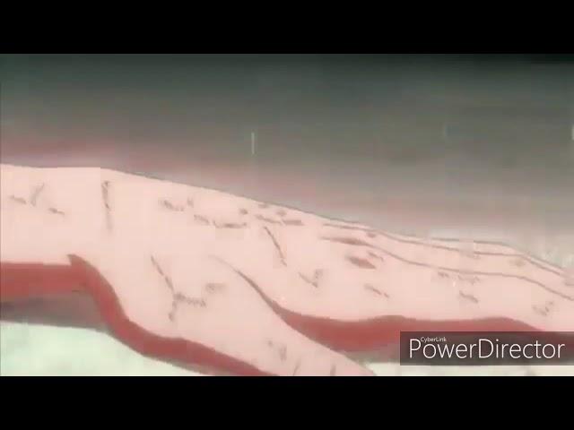 Bleach ~amv~ hey mama ichgo vs ulquiorra