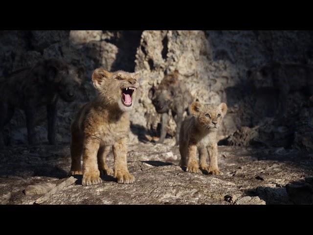 The Lion King (2019) Simba Chase and Roar Scene HD 1080p